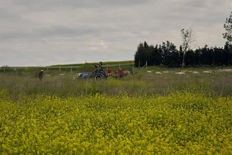 AgroCampo Ibérico S.L.