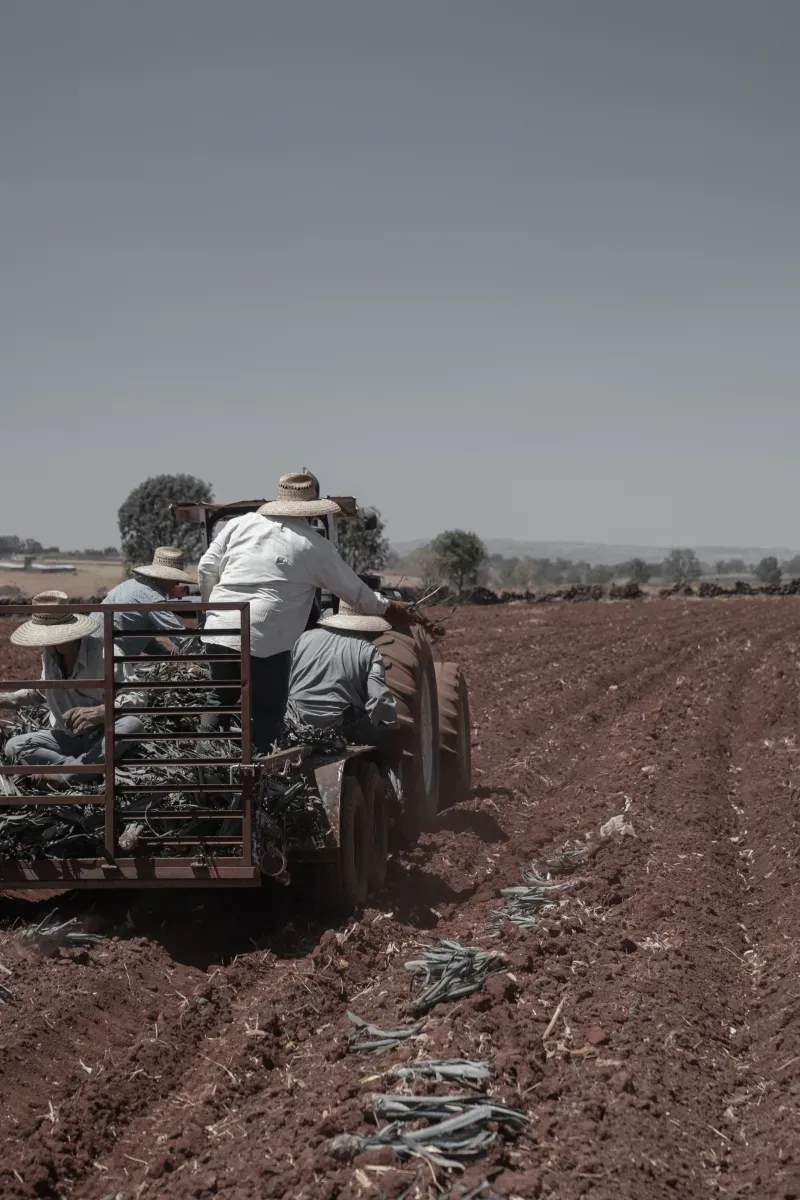 AgroCampo Ibérico S.L.