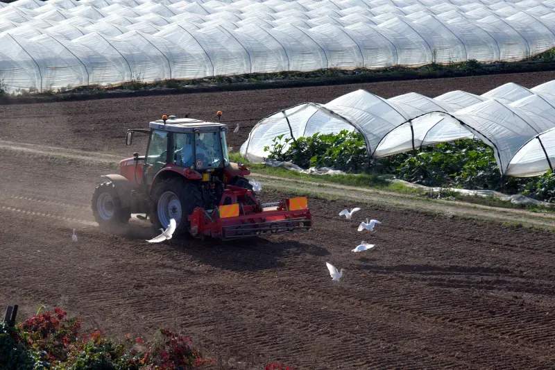 Planificación agrícola: por qué empezar el año con objetivos claros